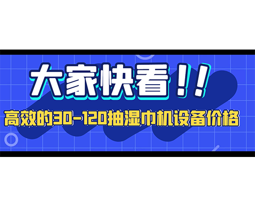 高效的30-120抽濕巾機設(shè)備價格