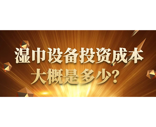 濕巾設(shè)備投資成本大概是多少？