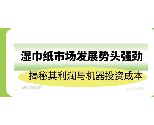 濕巾紙市場(chǎng)發(fā)展勢(shì)頭強(qiáng)勁，揭秘其利潤(rùn)與機(jī)器投資成本