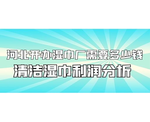 河北開辦濕巾廠需要多少錢(附清潔濕巾利潤(rùn)分析)